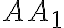 AA_{1}