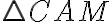 \triangle CAM
