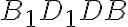 B_1D_1DB