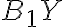 B_1Y
