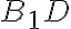 B_1D