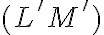 (L'M')