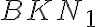 BKN_1