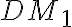 DM_1