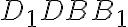 D_{1}DBB_{1}