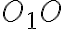 O_{1}O