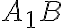 A_1B