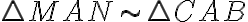 \triangle MAN \sim \triangle CAB