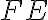 FE