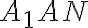 A_{1}AN