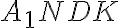 A_{1}NDK