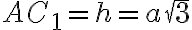 AC_{1}=h=a\sqrt{3}