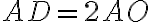 AD=2AO AD=2AO