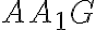 AA_1G