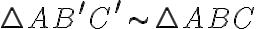 \triangle AB^\prime C^\prime \sim \triangle ABC