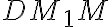 DM_1M