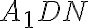 A_{1}DN