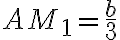 AM_1 = \dfrac{b}{3}