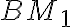 BM_1