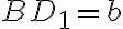 BD_1=b